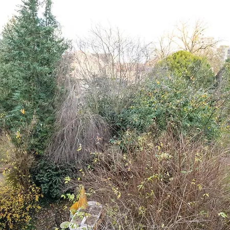 Cure Thermale - Artem - Parc Sainte Marie - 1er Orange דירה *