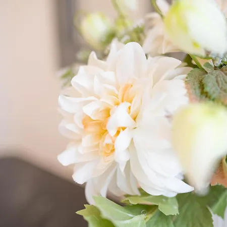 Cure Thermale - Artem - Parc Sainte Marie - 1er Orange