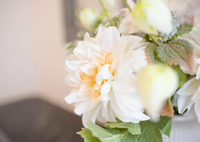 Cure Thermale - Artem - Parc Sainte Marie - 1er Orange